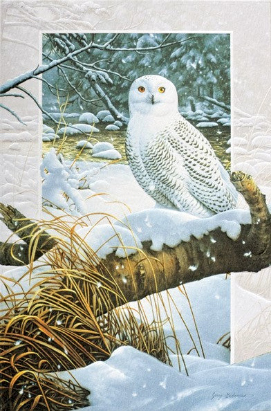 Snowy Owl Boxed Cards - The Country Christmas Loft