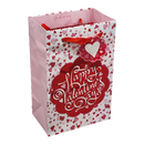 Raining Hearts Gift Bag
