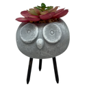 Faux 2 Tone Succulent In Planter - Owl - Home & Living >> Artificial Flowers - by Gerson
