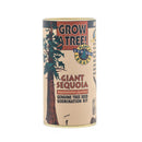 Giant Sequoia  Seed Grow Kit