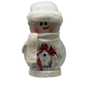 Country Cardinal Lighted Snowman with Hat and Scarf