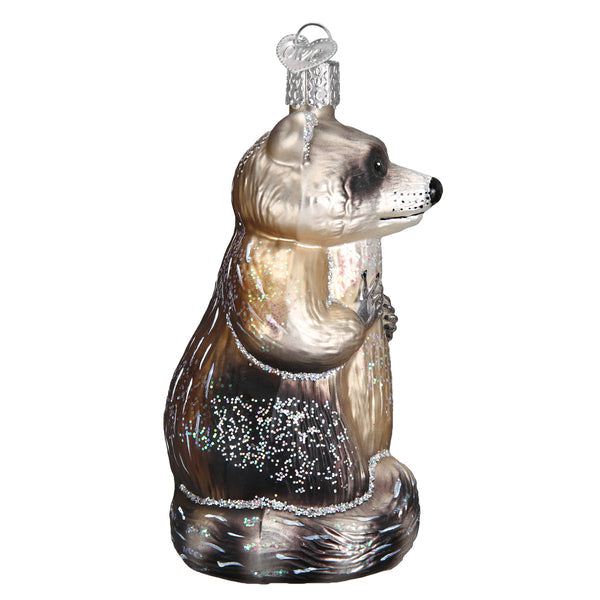 Racoon Glass Ornament