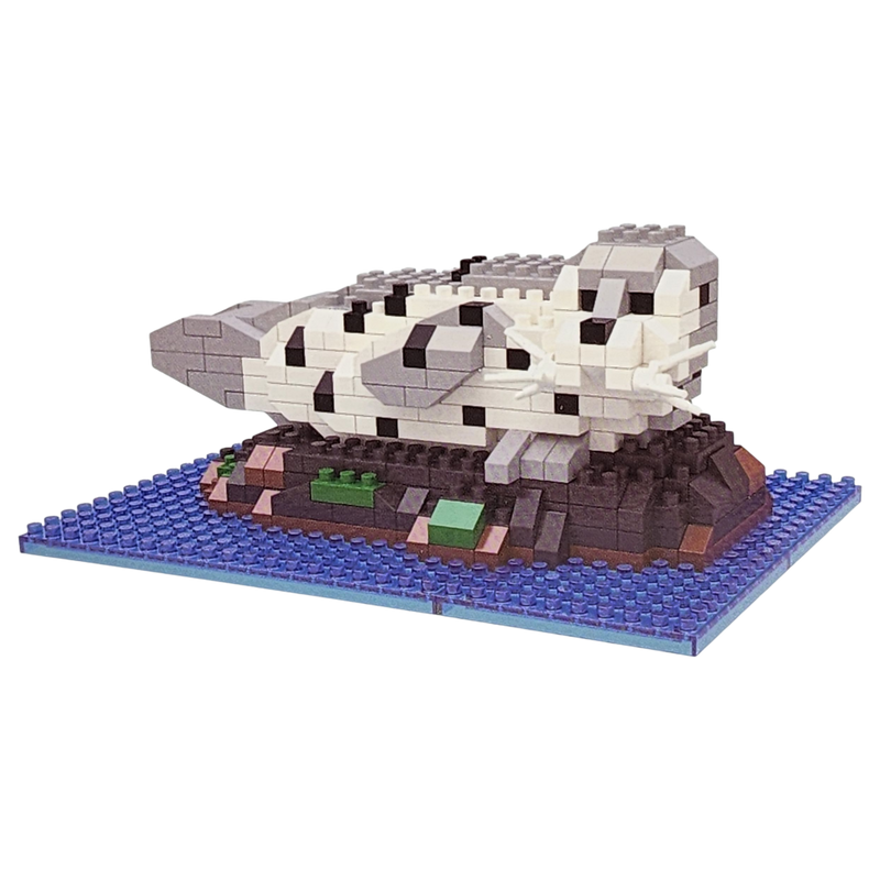 Mini Building Blocks - Harbor Seal