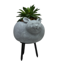 Faux Green Succulent In Planter - Mouse - Home & Living >> Artificial Flowers - by Gerson