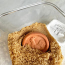 Brown Sugar Saver - Kitchen Items - by R&M International - view 3