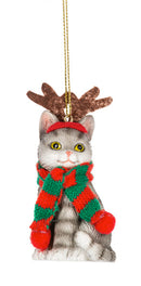 Fleas Navidad Cat Ornament - American Shorthair - Christmas >> Ornaments >> Animals - by Ganz