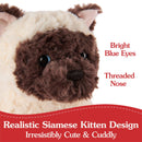 Bootsie Siamese Kitten