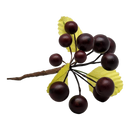 Grape Cluster - 5 Inch - Maroon