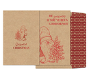 Winter Birch Boxed Cards – Gnomeie Christmas Duo