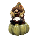 Harvest Gnome on a Gourd -
