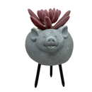 Faux Pink Succulent In Planter - Pig - Home & Living >> Artificial Flowers - by Gerson