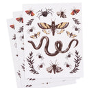 Martha Stewart Crafts Halloween Embellishment Stickers - Insects