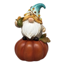 Fall Gnome Pumpkin -