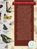 Butterflies of North America 1000 Piece Puzzle - Toy Shoppe >> Puzzles - by Masterpiece Puzzle - view 2