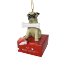Pug with Bone Ornament