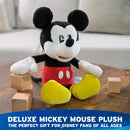 Mickey Mouse Plush