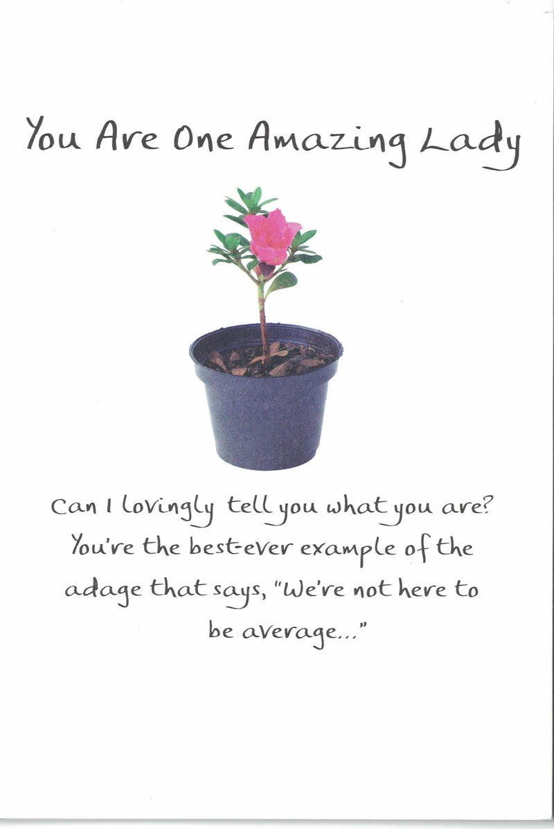 You are One Amazing Lady Greeting Card - The Country Christmas Loft
