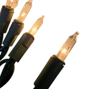 20 Indoor String Lights - Clear Bulb - Green Wire - Christmas >> Lighting - by Tremont Floral - view 3