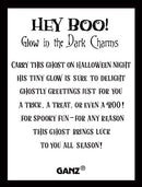 Glow in the Dark Ghost Pocket Charm
