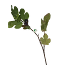 36-inch Faux Mediterranean Fig Branch - Home & Living >> Artificial Flowers - by Gerson
