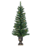 Potted Idaho Pine 4' - 50 lights