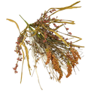 24-Inch Mixed Greenery Harvest Bush - Home & Living >> Artificial Flowers - by Gerson - view 2