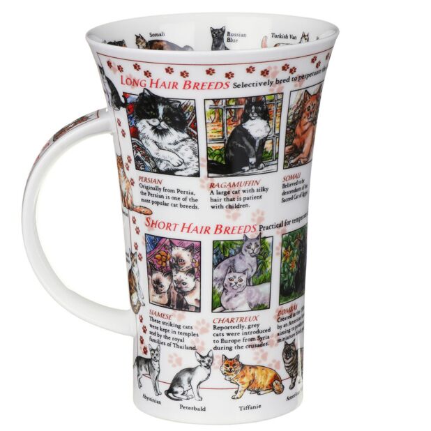 World Of The Cat Fine Bone China Mug Glencoe Style By Dunoon