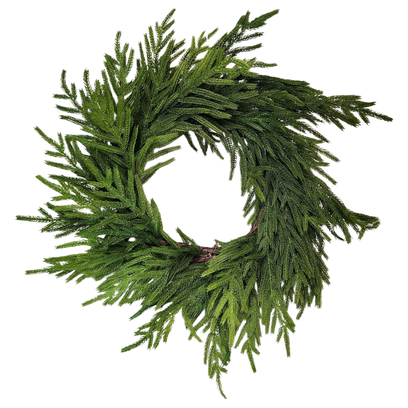 Natural Looking Lush Cedar Wreath - 24 Inches