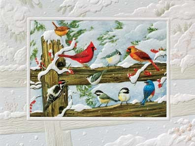 Winter Songbirds Petite Boxed Cards - The Country Christmas Loft