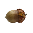 Resin Harvest Acorn - Medium