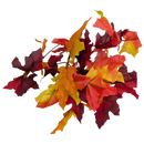 14-Inch Autumn Maple Leaf Bush - Home & Living >> Artificial Flowers - by Gerson - view 2
