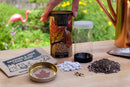 Red Maple Tree  Seed Grow Kit