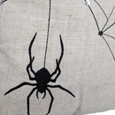 Spooky Spider Web Pillow