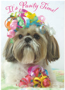 Birthday Card - It's Party Time