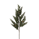 Pine Spray with Pinecone - 24 inch