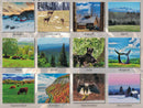 2024 Green Mountain Wall Calendar