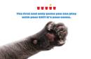 Knock It Off - A Game You Play With Your Cat