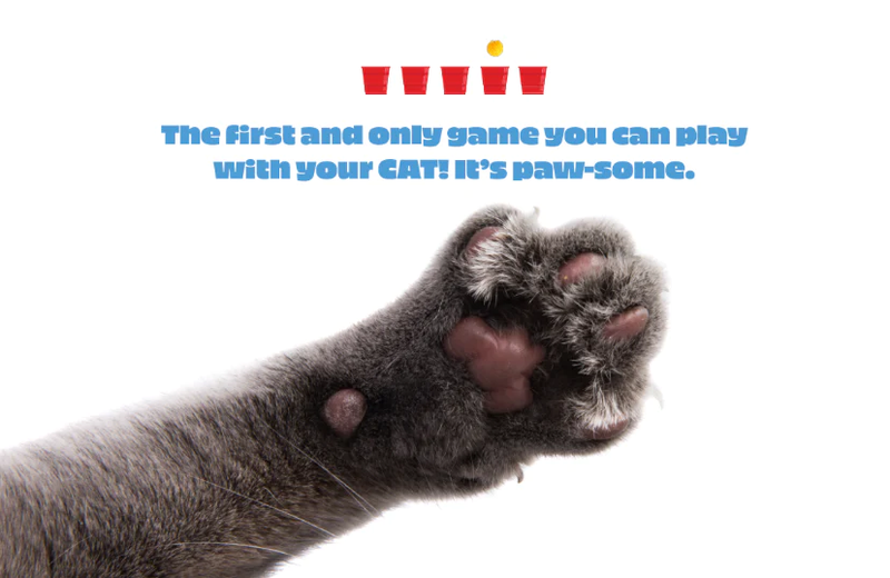 Knock It Off - A Game You Play With Your Cat