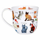 Cat Breeds Fine Bone China Mug Cumbrae Style By Dunoon