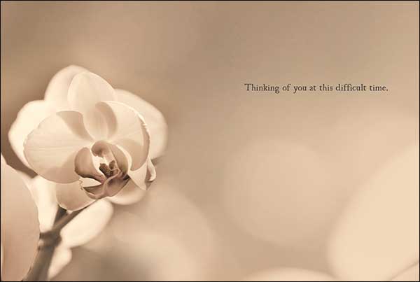 Sympathy Card - Thinking Of You At This Difficult Time - The Country Christmas Loft