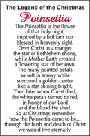 The Legend of the Christmas Poinsettia Charm - The Country Christmas Loft