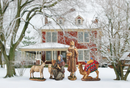 Outdoor Nativity Set - Shepherds Camel and Donkey - Nativity - by Three Kings Gifts - view 2