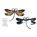 Dragonfly Inspriational Pocket Charm -