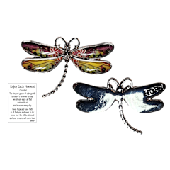 Dragonfly Inspriational Pocket Charm -