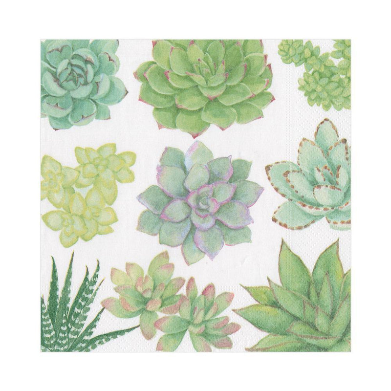 Succulents Paper Luncheon Napkins - Lunch Napkin