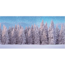 Huge Village Background Cloth - Snow Forest - 10 x 5 foot
