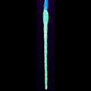 Glass Glow In The Dark Glittered Icicle Ornament -