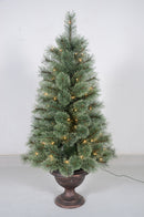 4 Foot Ponderosa Potted Tree