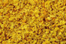 Ground Cover - Yellow Straw - Coarse