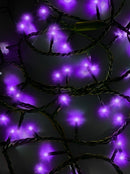 Jingle Bright 100 LED Light Set - Purple - Green Wire - Christmas >> Lighting - by Kurt Adler - view 2